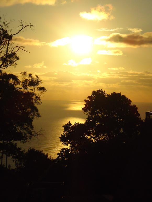 Madeira Sunset Cottage - Nature Retreat Ponta do Pargo Eksteriør billede